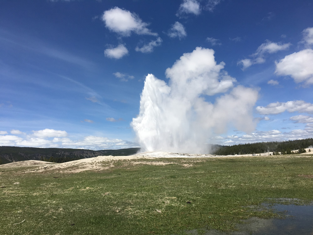 Yellowstone NP